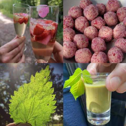Natur Pur Gourmet Kräuterspaziergang im Namen der Erotik Aphrodites Köstlichkeiten